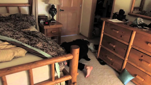 Fruit Whoops! -qfYTep1DORc-.webp